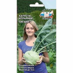 Капуста кольраби Гигант Седек (40461): купить семена почтой в России | интернет-магазин Беккер