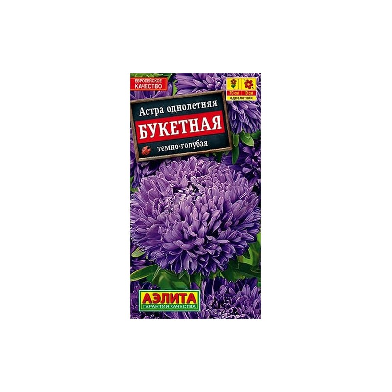 Астра Букетная темно-голубая Аэлита (40273): купить семена почтой в России | интернет-магазин Беккер Астра Букетная темно-голубая Аэлита (40273): купить семена почтой в России | интернет-магазин Беккер