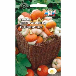 Тыква декоративная Боровичок Седек (40528): купить семена почтой в России | интернет-магазин Беккер