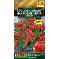 Бегония вечноцветущая махровая Фея красная F1 Аэлита (40305): купить семена почтой в России | интернет-магазин Беккер