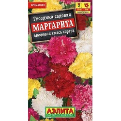 Гвоздика садовая махровая Маргарита, смесь окрасок Аэлита (40331): купить семена почтой в России | интернет-магазин Беккер