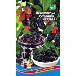 Шелковица (тутовник) Черная Уральский дачник (40714): купить семена почтой в России | интернет-магазин Беккер