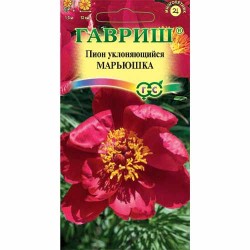 Пион уклоняющийся Марьюшка Гавриш (40609): купить семена почтой в России | интернет-магазин Беккер