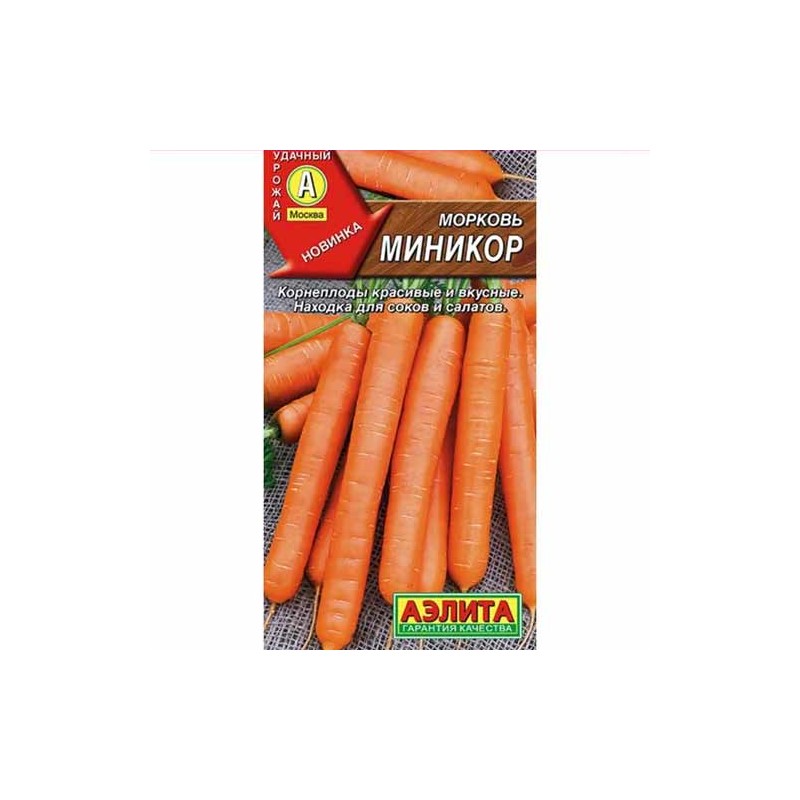 Морковь Миникор Аэлита (40108): купить семена почтой в России | интернет-магазин Беккер Морковь Миникор Аэлита (40108): купить семена почтой в России | интернет-магазин Беккер