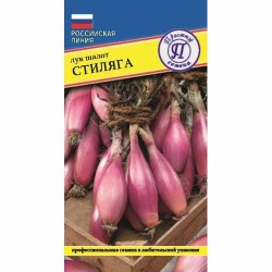 Лук шалот Стиляга Престиж (40763): купить семена почтой в России | интернет-магазин Беккер