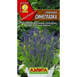 Лаванда Синеглазка Аэлита (40078): купить семена почтой в России | интернет-магазин Беккер