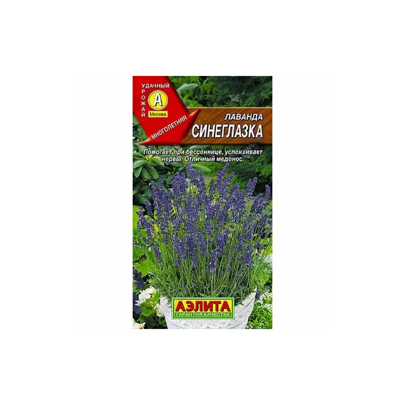 Лаванда Синеглазка Аэлита (40078): купить семена почтой в России | интернет-магазин Беккер