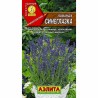 Лаванда Синеглазка Аэлита (40078): купить семена почтой в России | интернет-магазин Беккер