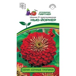 Цинния Сочные тропики Нью-Йоркер F1 Партнер (84827): купить семена почтой в России | интернет-магазин Беккер