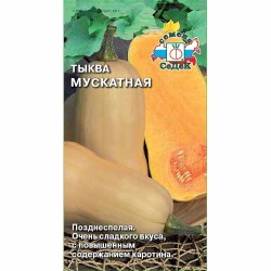 Тыква Мускатная Седек (40534): купить семена почтой в России | интернет-магазин Беккер