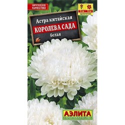 Астра Королева сада белая Аэлита (40276): купить семена почтой в России | интернет-магазин Беккер