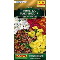 Мимулюс гибридный Максимус F1, смесь окрасок Аэлита (40355): купить семена почтой в России | интернет-магазин Беккер