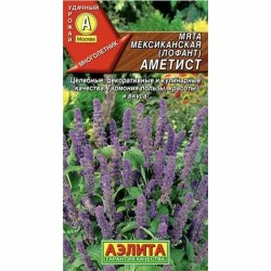 Мята мексиканская Аметист Аэлита (40113): купить семена почтой в России | интернет-магазин Беккер