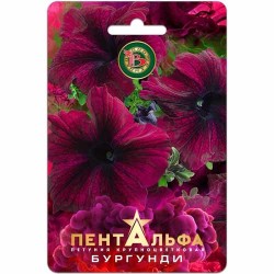 Петуния крупноцветковая Пентальфа Бургунди F1 Биотехника (40443): купить семена почтой в России | интернет-магазин Беккер