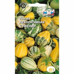 Тыква декоративная Сувенир Седек (40538): купить семена почтой в России | интернет-магазин Беккер