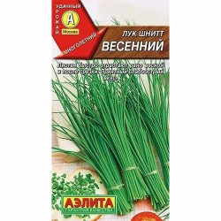 Лук шнитт Весенний Аэлита (40091): купить семена почтой в России | интернет-магазин Беккер