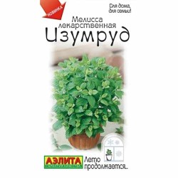 Мелисса лекарственная Изумруд Аэлита (40095): купить семена почтой в России | интернет-магазин Беккер