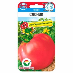 Томат Слоник Сибирский сад (40851): купить семена почтой в России | интернет-магазин Беккер