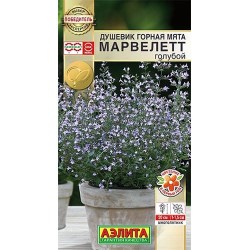 Душевик Горная мята марвелетт голубой Аэлита (40341): купить семена почтой в России | интернет-магазин Беккер