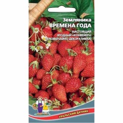 Земляника ремонтантная мелкоплодная Времена года Уральский дачник (40651): купить семена почтой в России | интернет-магазин Бекк