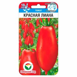 Томат Красная лиана Сибирский сад (40836): купить семена почтой в России | интернет-магазин Беккер