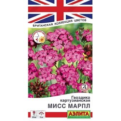 Гвоздика картузианская Мисс Марпл Аэлита (40328): купить семена почтой в России | интернет-магазин Беккер