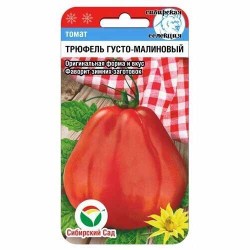 Томат Трюфель густомалиновый Сибирский сад (40635): купить семена почтой в России | интернет-магазин Беккер