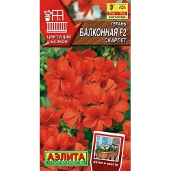 Герань Балконная скарлет F2 Аэлита (40337): купить семена почтой в России | интернет-магазин Беккер