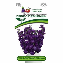 Маттиола срезочная махровая Бьютифул Парфюм Парпл Перфекшн Партнер (40815): купить семена почтой в России | интернет-магазин Бек