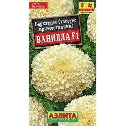 Бархатцы прямостоячие Ванилла F1 Аэлита (40293): купить семена почтой в России | интернет-магазин Беккер