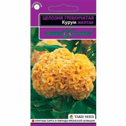 Целозия гребенчатая Курум желтая Гавриш (40597): купить семена почтой в России | интернет-магазин Беккер