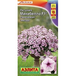 Петуния многоцветковая Минибелло сиреневая звезда F1 Аэлита (40389): купить семена почтой в России | интернет-магазин Беккер