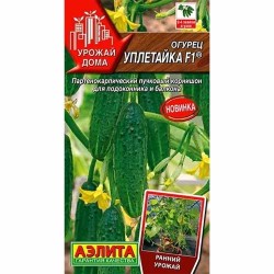 Огурец Уплетайка F1 Аэлита (40143): купить семена почтой в России | интернет-магазин Беккер