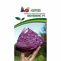 Капуста краснокочанная Бенефис Партнер (40721): купить семена почтой в России | интернет-магазин Беккер