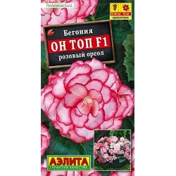 Бегония клубневая Он Топ розовый ореол F1 Аэлита (40306): купить семена почтой в России | интернет-магазин Беккер