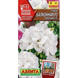 Герань Балконная перламутр F2 Аэлита (40336): купить семена почтой в России | интернет-магазин Беккер