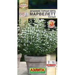 Душевик Горная мята марвелетт белый Аэлита (40340): купить семена почтой в России | интернет-магазин Беккер