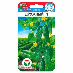 Огурец Дружный F1 Сибирский сад (40616): купить семена почтой в России | интернет-магазин Беккер