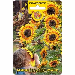 Подсолнух Мини-Макс Магма Биотехника (40415): купить семена почтой в России | интернет-магазин Беккер
