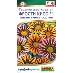 Гацания Фрости кисс пламя F1, смесь окрасок Аэлита (40325): купить семена почтой в России | интернет-магазин Беккер