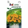 Бархатцы отклоненные Бонанза Би Партнер (40736): купить семена почтой в России | интернет-магазин Беккер