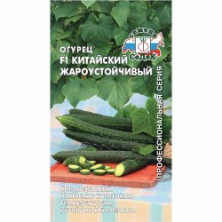 Огурец Китайский жароустойчивый F1 Седек (40476): купить семена почтой в России | интернет-магазин Беккер