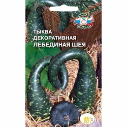 Тыква декоративная Лебединая шея Седек (40533): купить семена почтой в России | интернет-магазин Беккер
