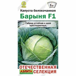 Капуста белокочанная Барыня F1 Аэлита (40058): купить семена почтой в России | интернет-магазин Беккер