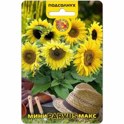 Подсолнух Мини-Макс Парвус Биотехника (40414): купить семена почтой в России | интернет-магазин Беккер
