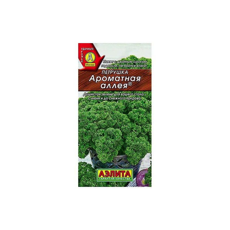 Петрушка кудрявая Ароматная аллея Аэлита (98497): купить семена почтой в России | интернет-магазин Беккер Петрушка кудрявая Ароматная аллея Аэлита (98497): купить семена почтой в России | интернет-магазин Беккер