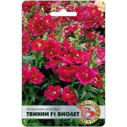 Львиный зев (антирринум) махровый Твинни Виолет F1 Биотехника (97316): купить семена почтой в России | интернет-магазин Беккер
