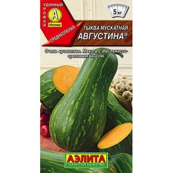 Тыква мускатная Августина Аэлита (98775): купить семена почтой в России | интернет-магазин Беккер