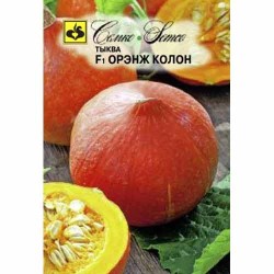 Тыква Орэнж колон F1 Семко (82643): купить семена почтой в России | интернет-магазин Беккер