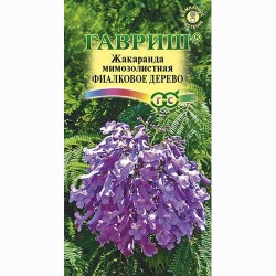 Жакаранда мимозолистая Фиалковое дерево Гавриш (66071): купить семена почтой в России | интернет-магазин Беккер